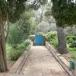 فيلة Beautiful On A Small Island