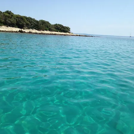 فيلة Beautiful On A Small Island