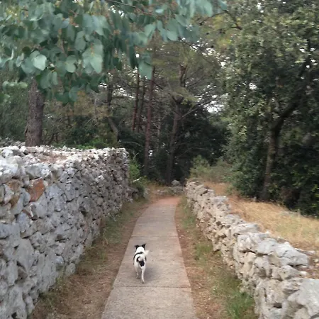 Beautiful On A Small Island Villa Mali Losinj