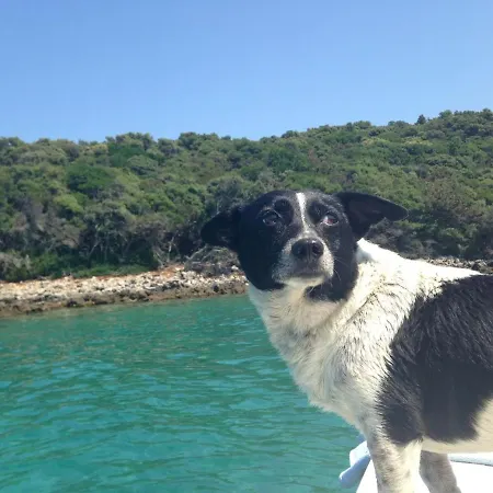 Beautiful On A Small Island Mali Losinj