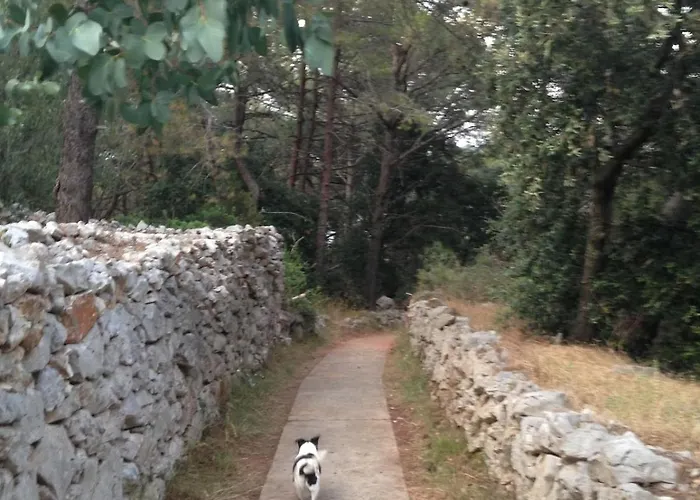 Beautiful On A Small Island Vila Mali Lošinj