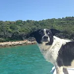 Beautiful On A Small Island Мали-Лошинь